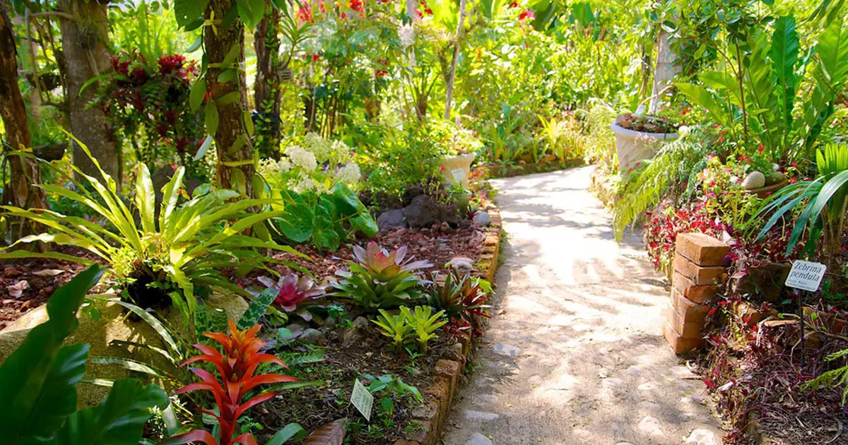 A beautiful Botanical Garden in Acapulco Mexico